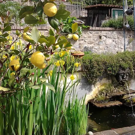 Alojamento de Acomodação e Pequeno-almoço Casa Zaira Moncalieri