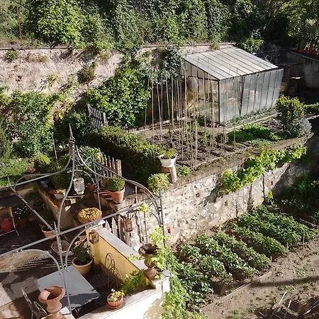 Casa Zaira